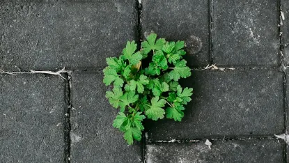 Casino Deposit Win Mobiele App